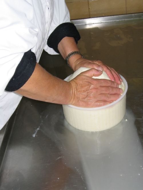 scuola di formaggio-35.JPG